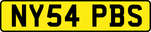 NY54PBS