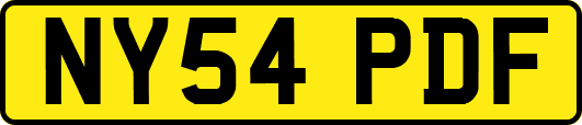 NY54PDF