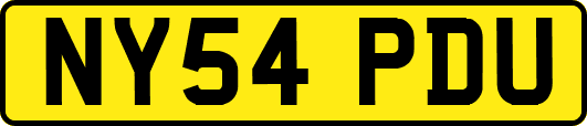 NY54PDU