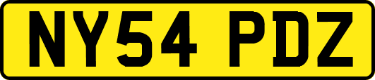 NY54PDZ