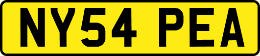 NY54PEA