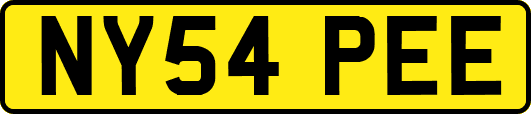 NY54PEE
