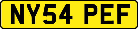 NY54PEF