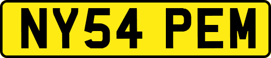 NY54PEM