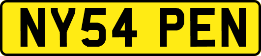 NY54PEN