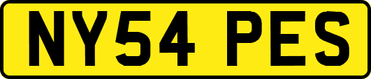 NY54PES