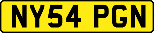 NY54PGN