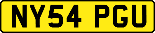 NY54PGU