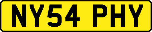 NY54PHY