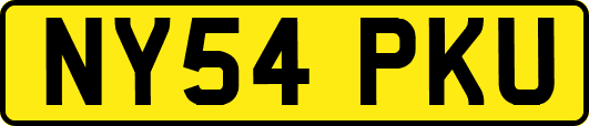 NY54PKU