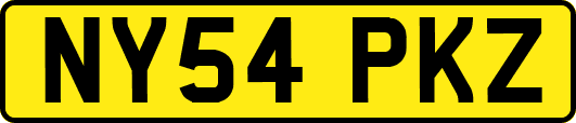 NY54PKZ