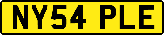 NY54PLE