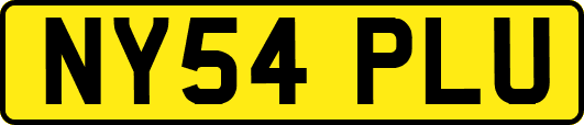 NY54PLU