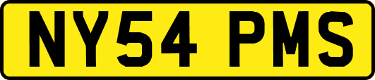 NY54PMS