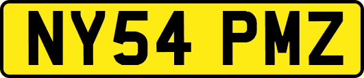 NY54PMZ
