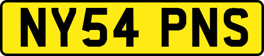 NY54PNS