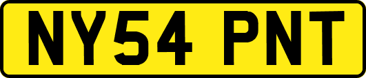 NY54PNT