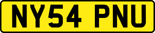 NY54PNU
