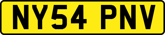 NY54PNV