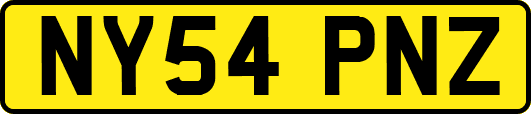 NY54PNZ