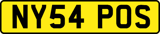 NY54POS
