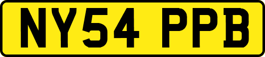 NY54PPB