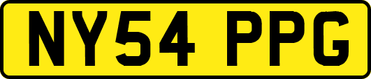 NY54PPG