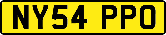 NY54PPO
