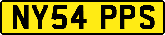 NY54PPS