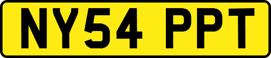 NY54PPT
