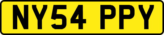 NY54PPY