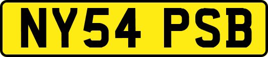 NY54PSB