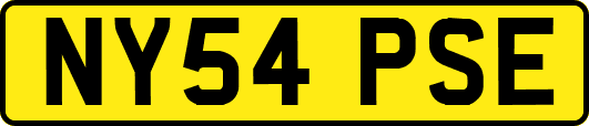 NY54PSE