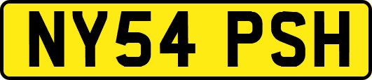 NY54PSH