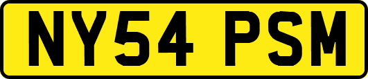 NY54PSM