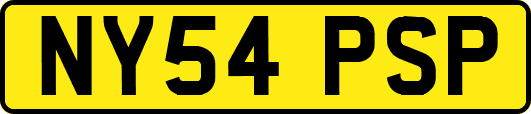 NY54PSP
