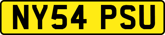 NY54PSU