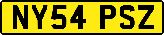 NY54PSZ