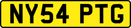 NY54PTG