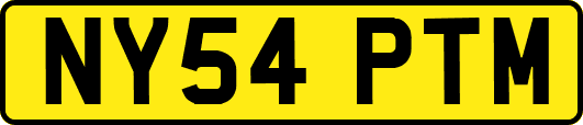NY54PTM