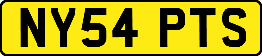 NY54PTS