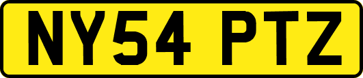NY54PTZ