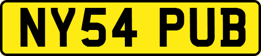 NY54PUB