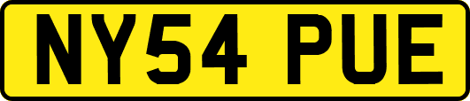 NY54PUE