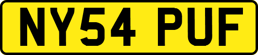 NY54PUF