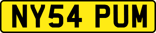 NY54PUM