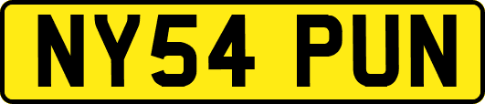 NY54PUN