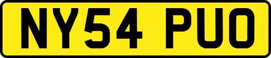 NY54PUO
