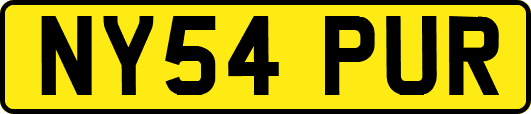 NY54PUR