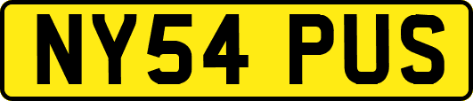NY54PUS